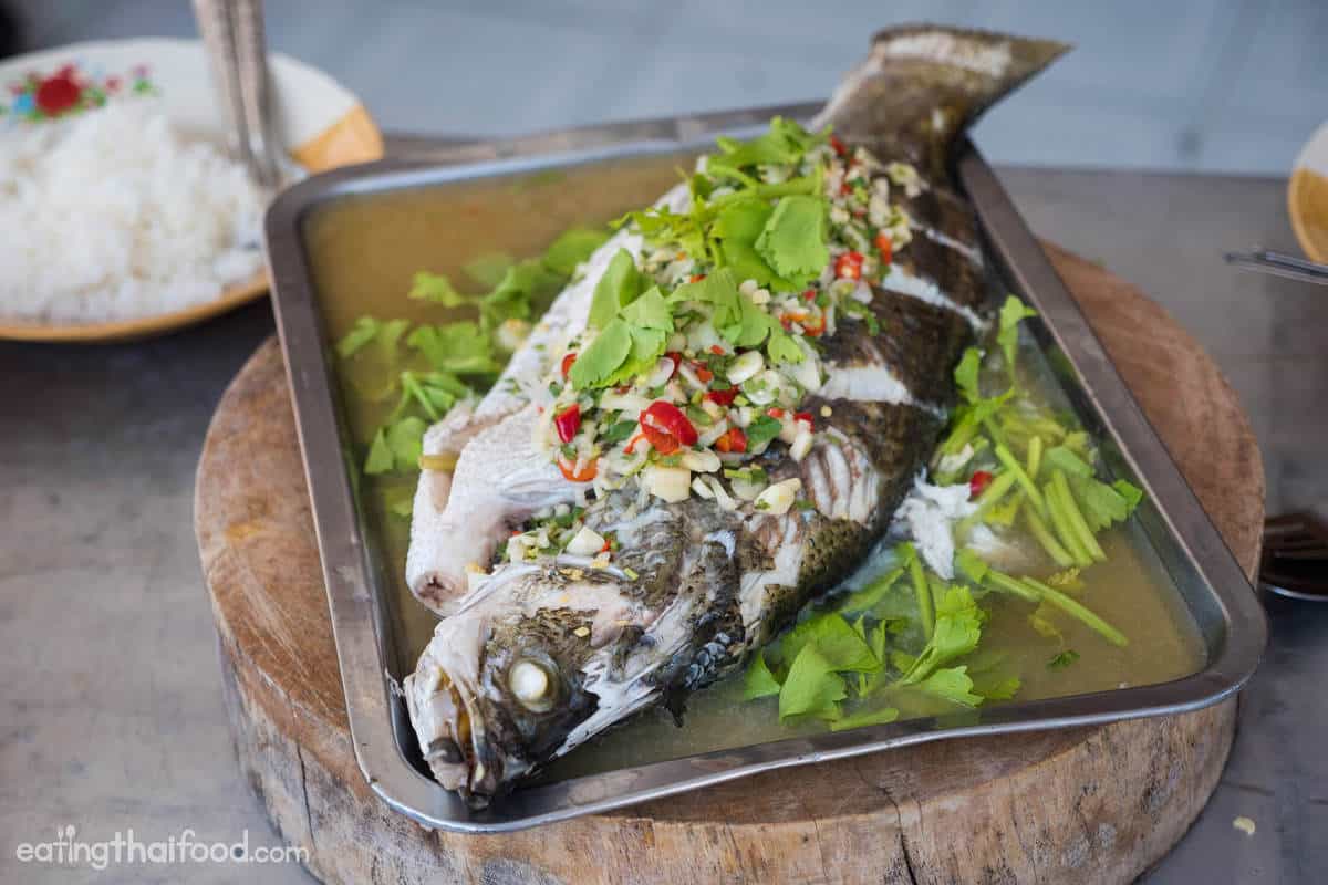 a tray of steamed whole barramundi with garlic and lime sauce