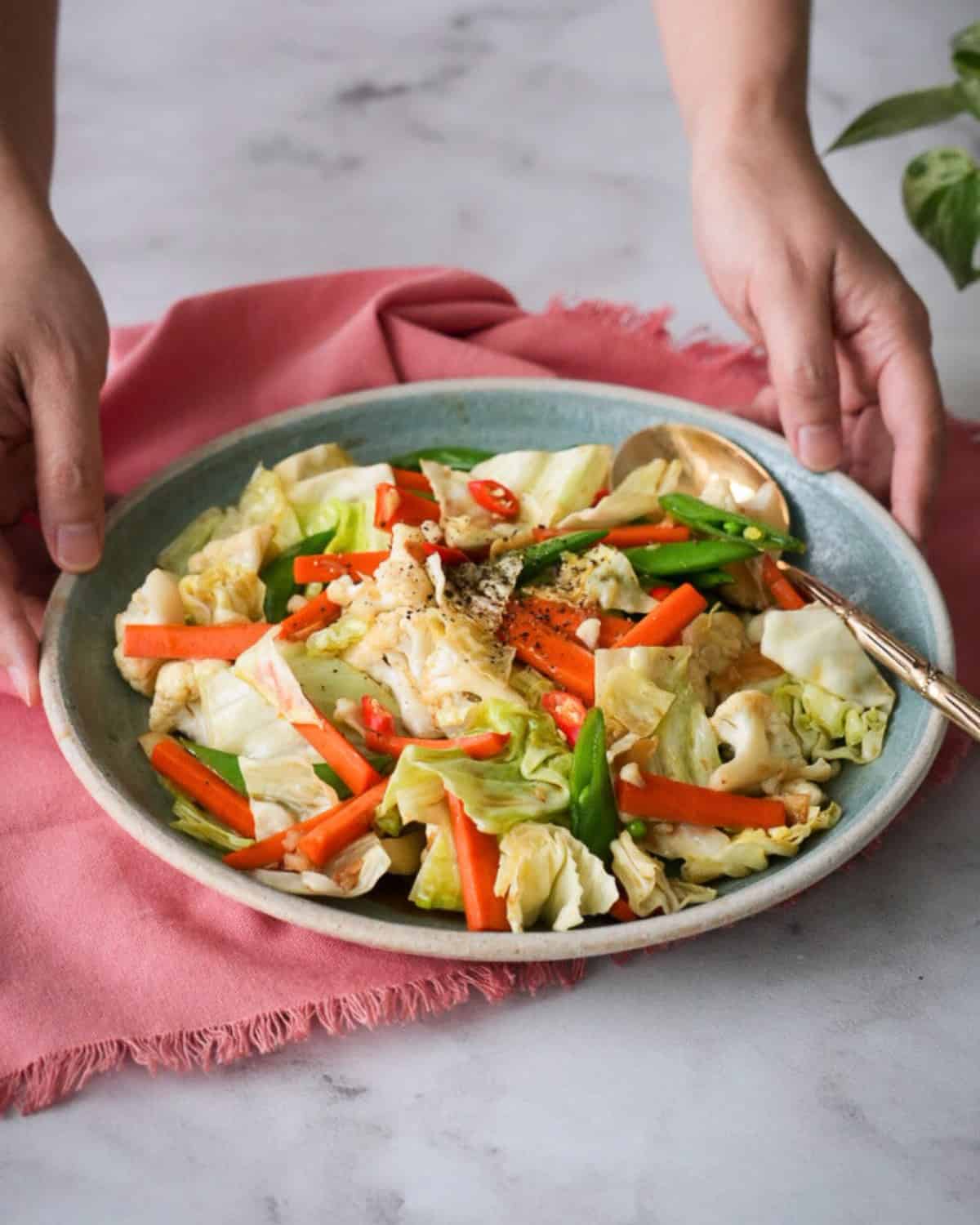 a plate of mixed veg stir fry with two hands holding it.