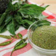 Curry paste hot sale recipe green