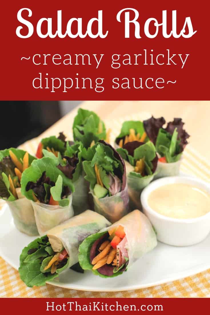 Not your average salad rolls! These Thai salad rolls are beautiful, healthy, and easy to make. Comes with a creamy, garlicky dipping sauce that's got a spicy kick. Keep it vegetarian or add some meat! #saladrolls #vegetarian #healthy #thai #veggie #recipe