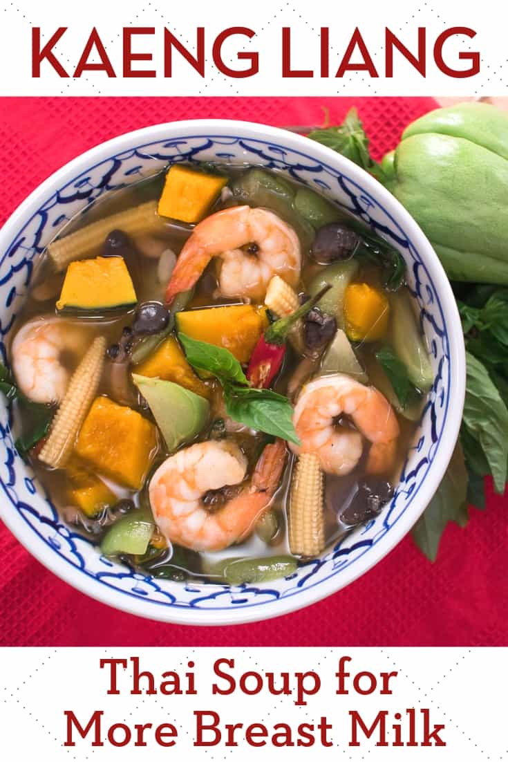 Healthy and yummy soup that is believed to increase breast milk supply in Thai culture, but anyone can enjoy it at any time. The peppery soup is full of vegetables—a mix of winter squash, summer squash, mushrooms. Add some shrimp or chicken as a protein and you’re good to go! #thairecipe #thaisoup #glutenfree #vegetablesoup #breastmilk