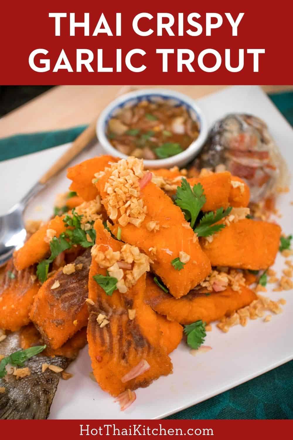 This authentic Thai preparation works with any fish. Crispy fried garlic with crispy fried fish, served with a tart, fresh, and spicy sauce. It's to die for! #thairecipe #fishrecipe #troutrecipe