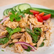 A plate of Thai roast turkey salad with cucumber and green onions on the side