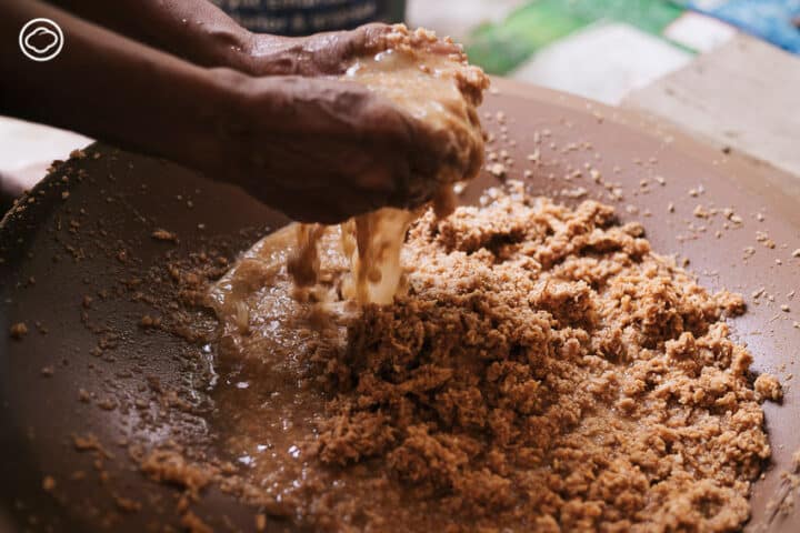 sago flesh being squeezed by hand