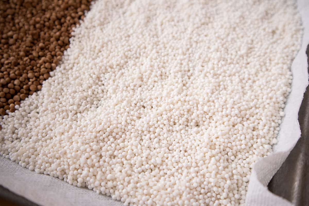 A tray of white tapioca pearls.