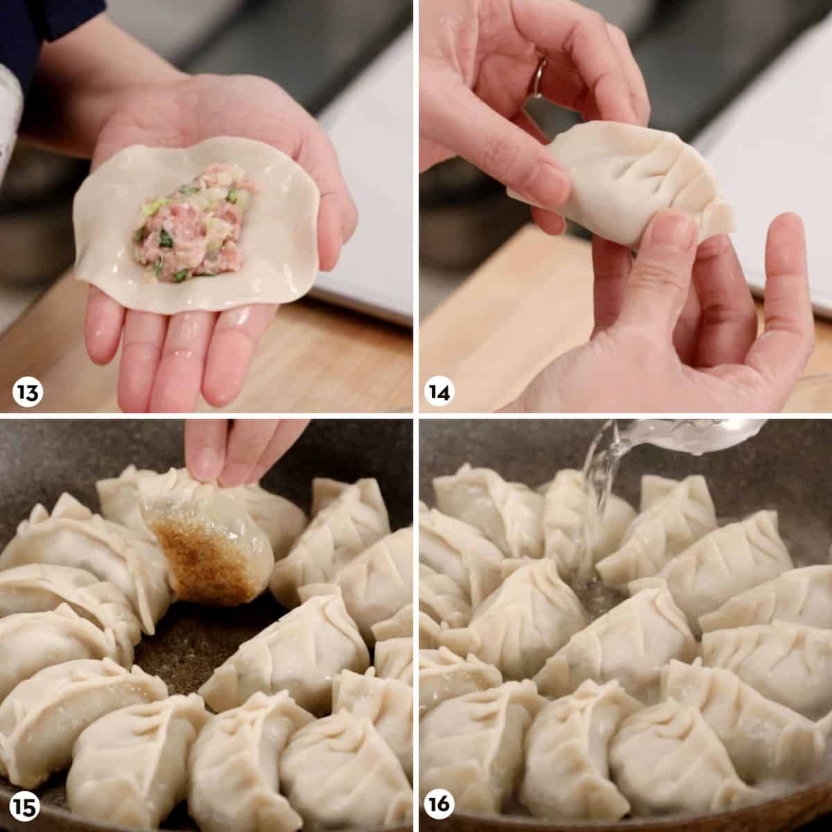 Pork Dumplings Gyoza