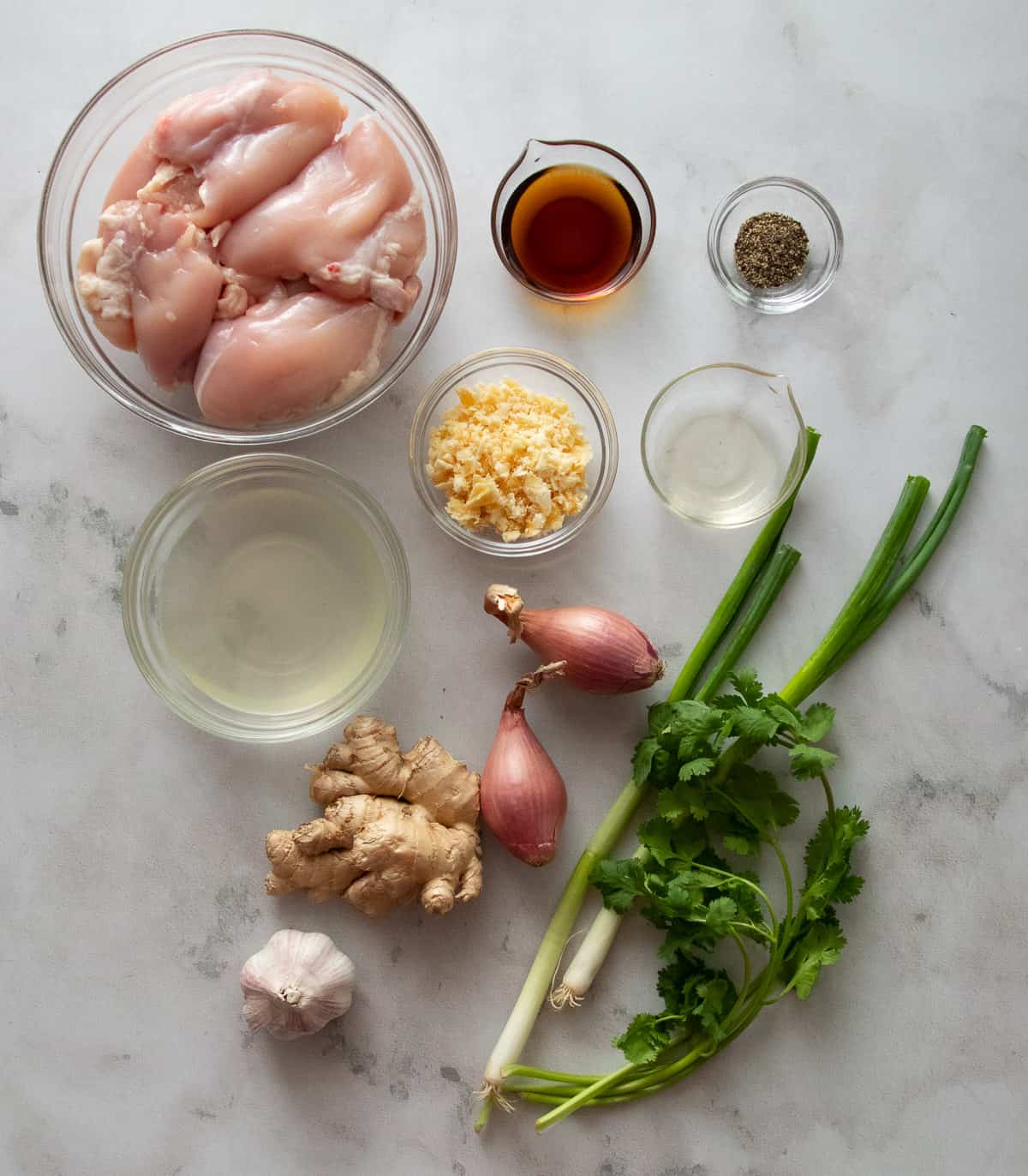 ingredients for caramel chicken.