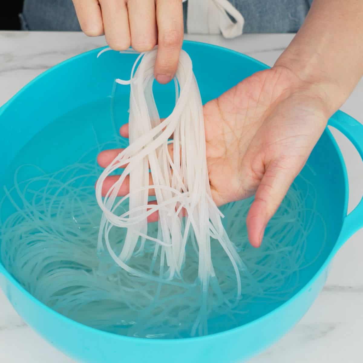 soaked rice noodles being lifted up from a bowl