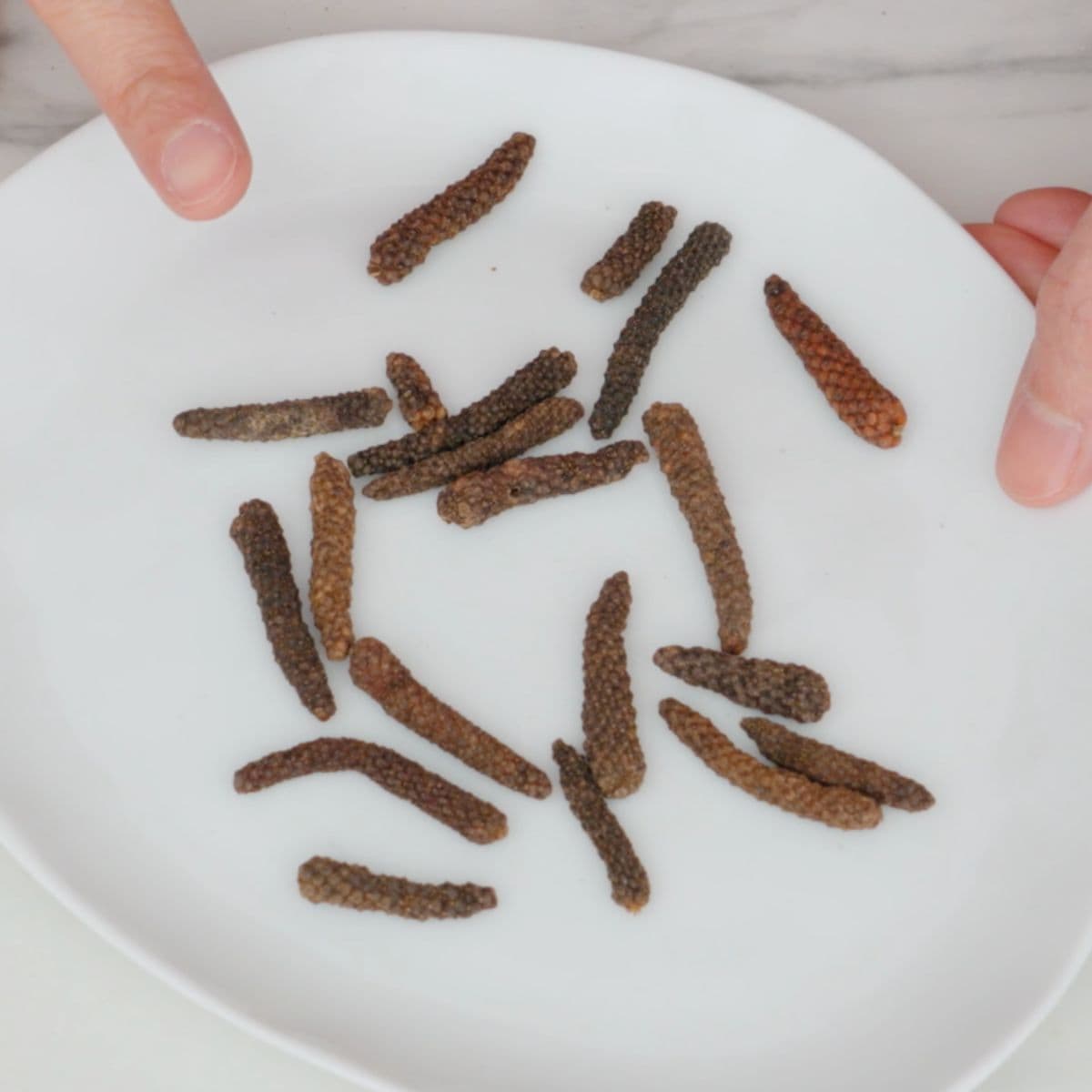 Indian long pepper on a plate